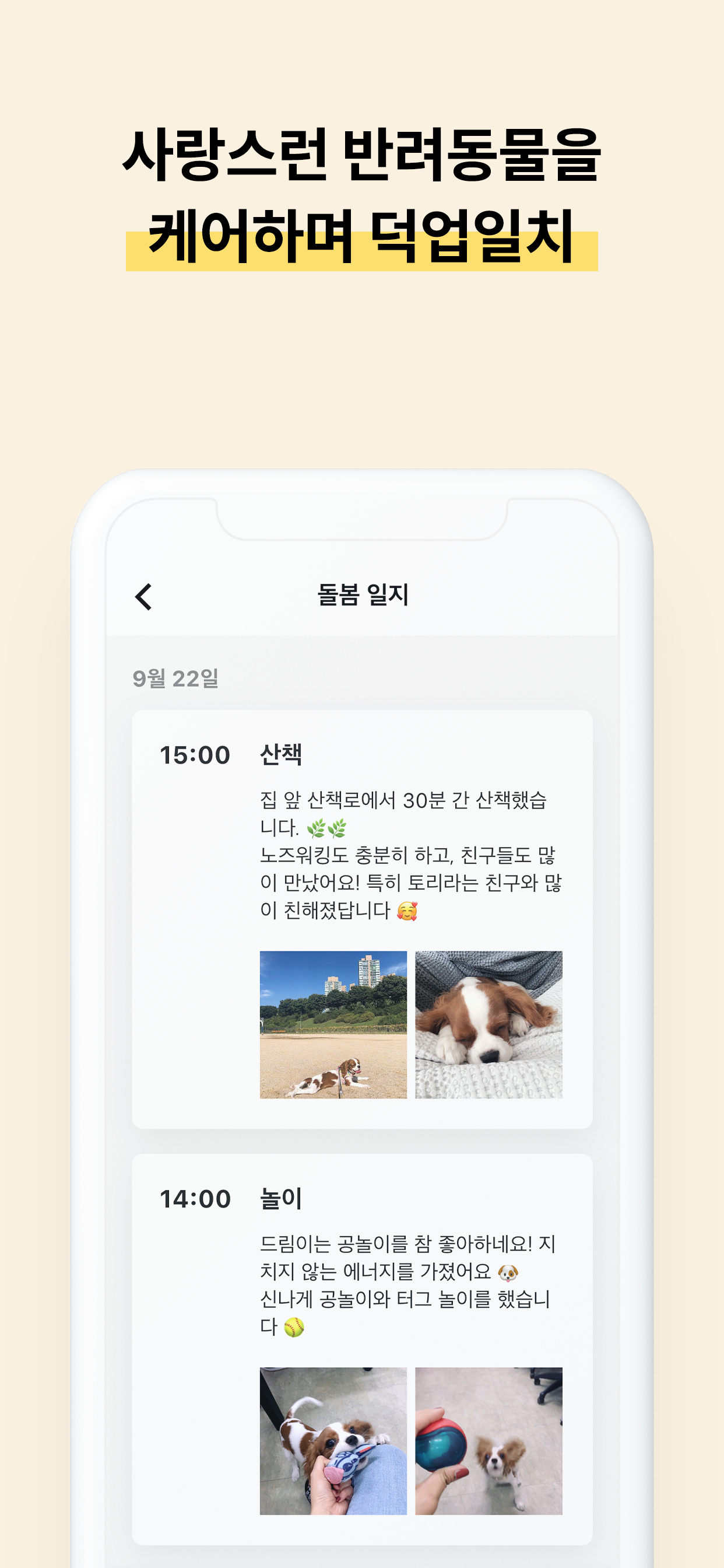 펫트너 - 펫시터선생님용