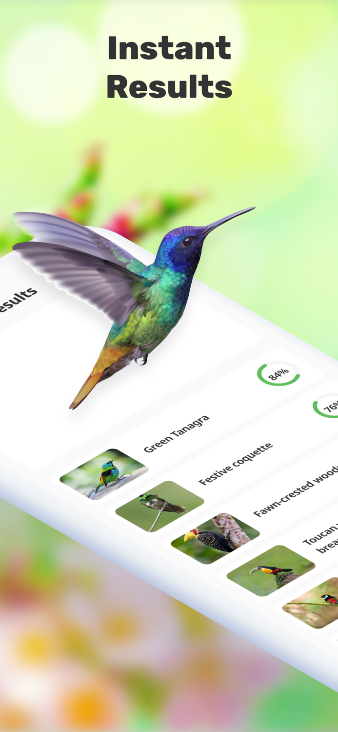 Bird Call Identification