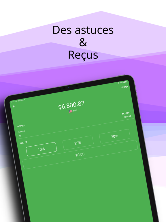 Screenshot #6 pour PaymentWiser - Stripe Payments