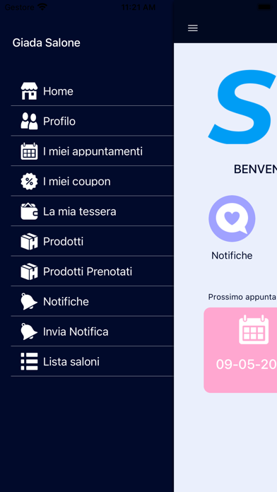 STIV Screenshot