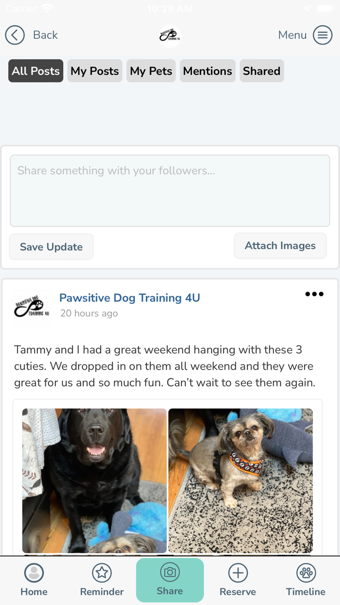 Pawsitive Dog Training 4U