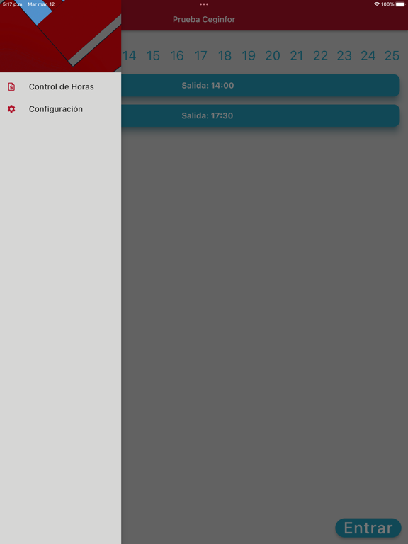 Screenshot #5 pour Control Horas Ceginfor