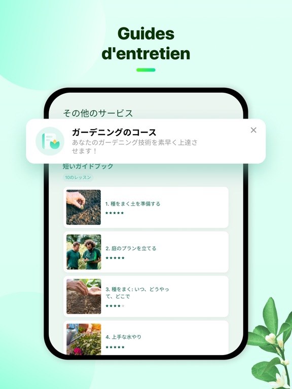 Plant Parent - Guide entretien Plant Parent - Guide entretien