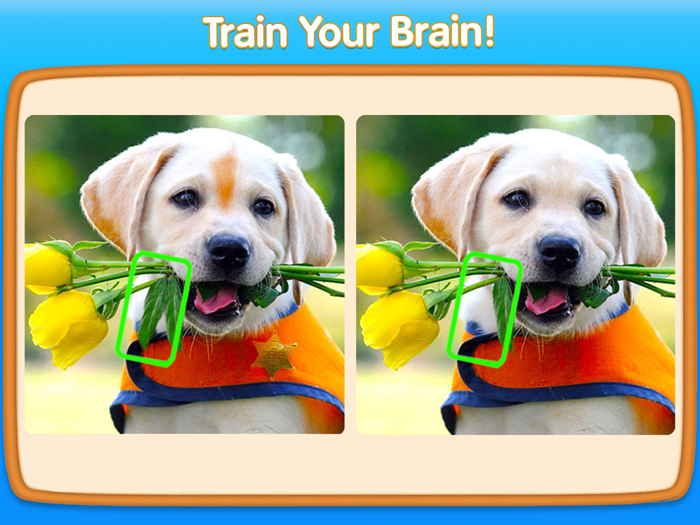 Can You Spot It — Find Game