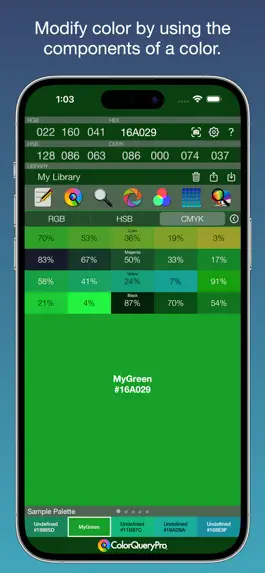 Game screenshot ColorQueryPro apk