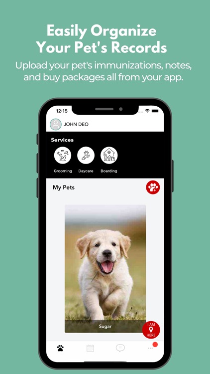 Black Jack Dog Training