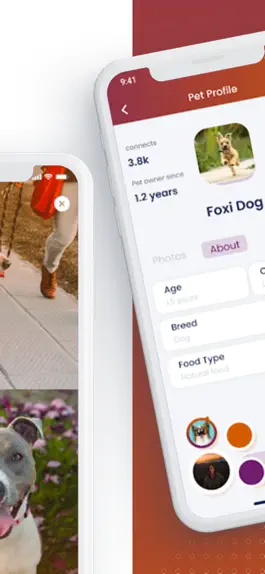Game screenshot The Pet Society hack