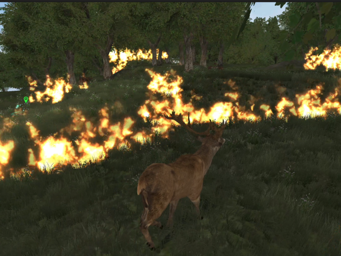 Life Of Deer Remastered