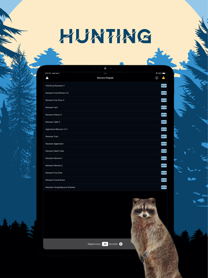 Raccoon Magnet–Raccoon Sounds