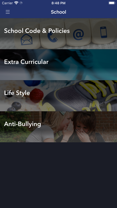 Gaelscoil SáirSéal Screenshot