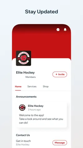 Game screenshot Elite Hockey mod apk