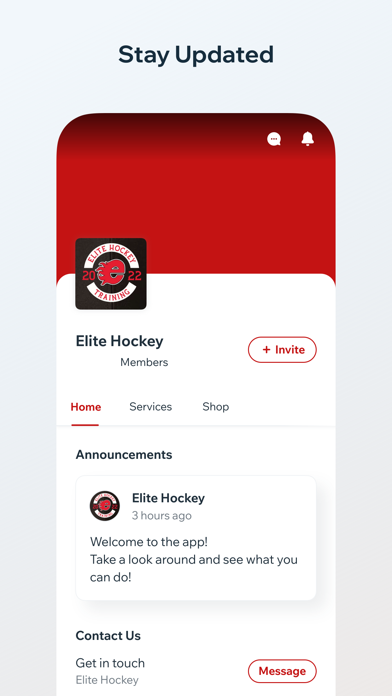 Elite Hockey Screenshot