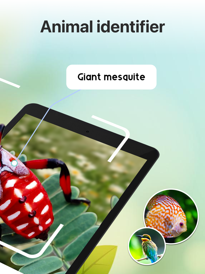 Bug Identifier Insect Finder