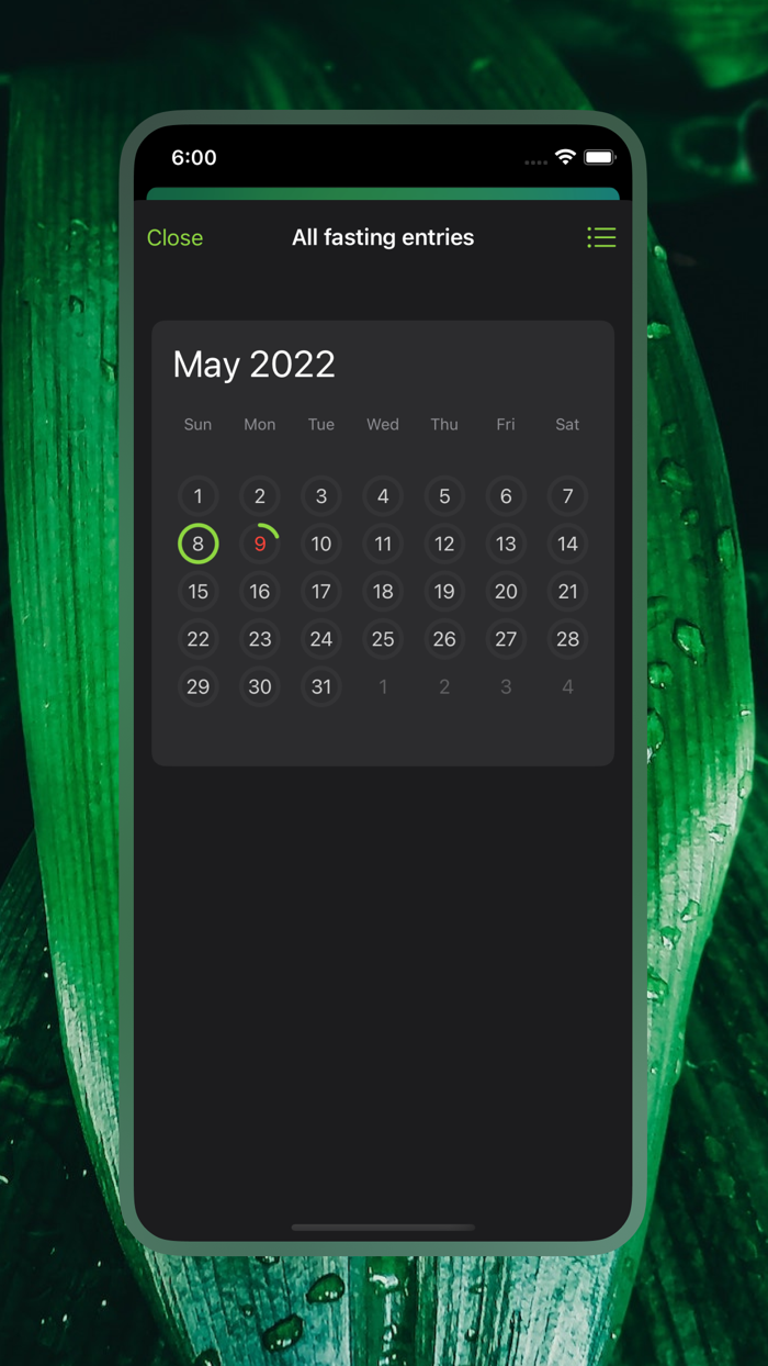 Intermittent Fasting
