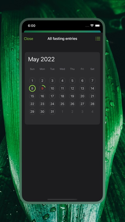 Intermittent Fasting