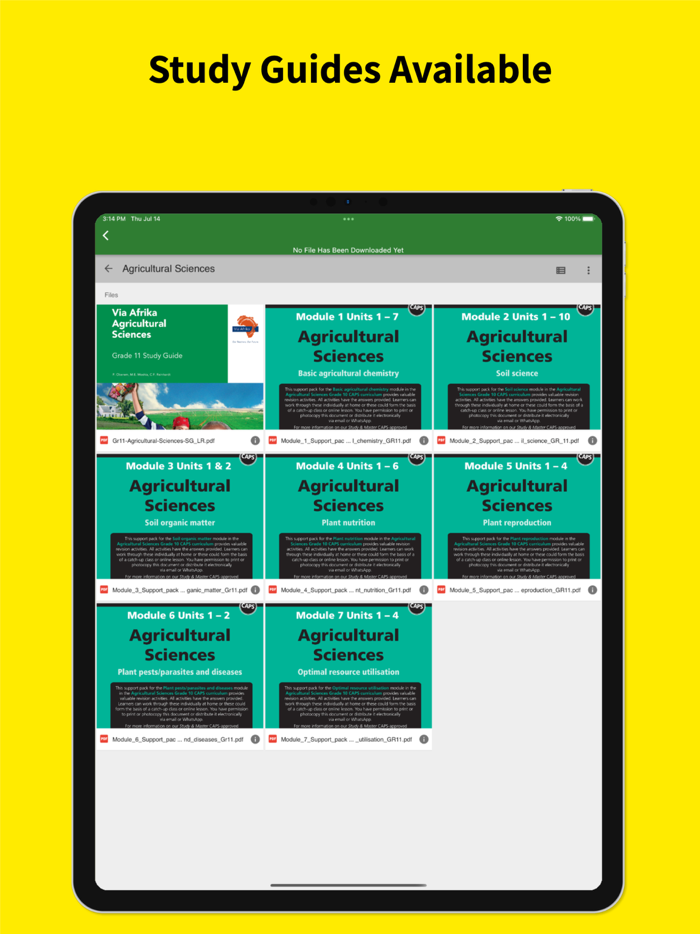 Grade 11 Exam Papers