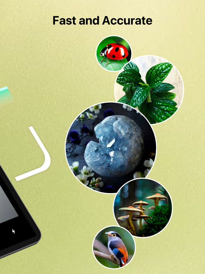 Rock Identifier Stone Scanner