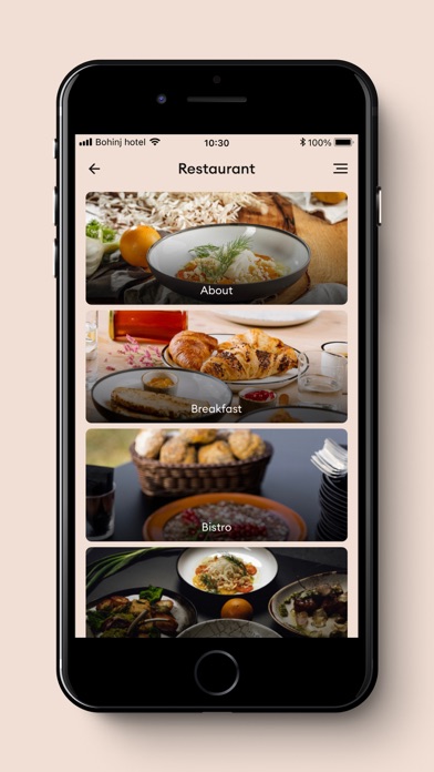 Bohinj Hotel Screenshot