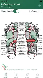 reflexology chart iphone screenshot 3