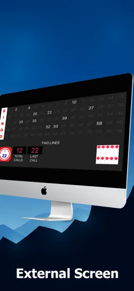 Game screenshot Bingo Caller Offline apk
