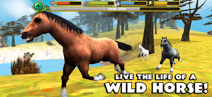 Wild Horse Simulator
