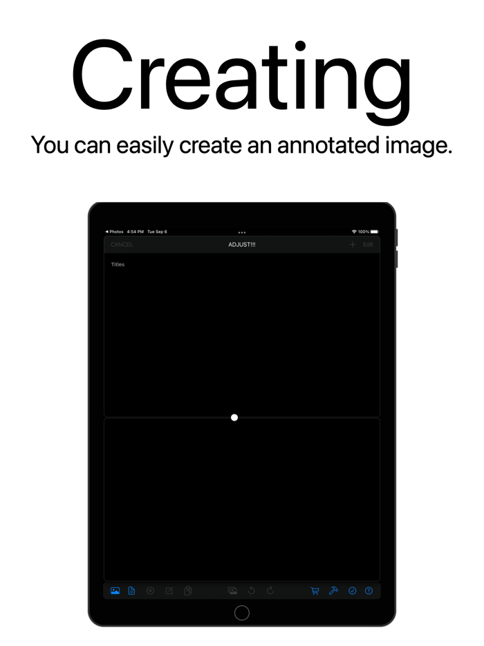 ADJUST Comments on the Image