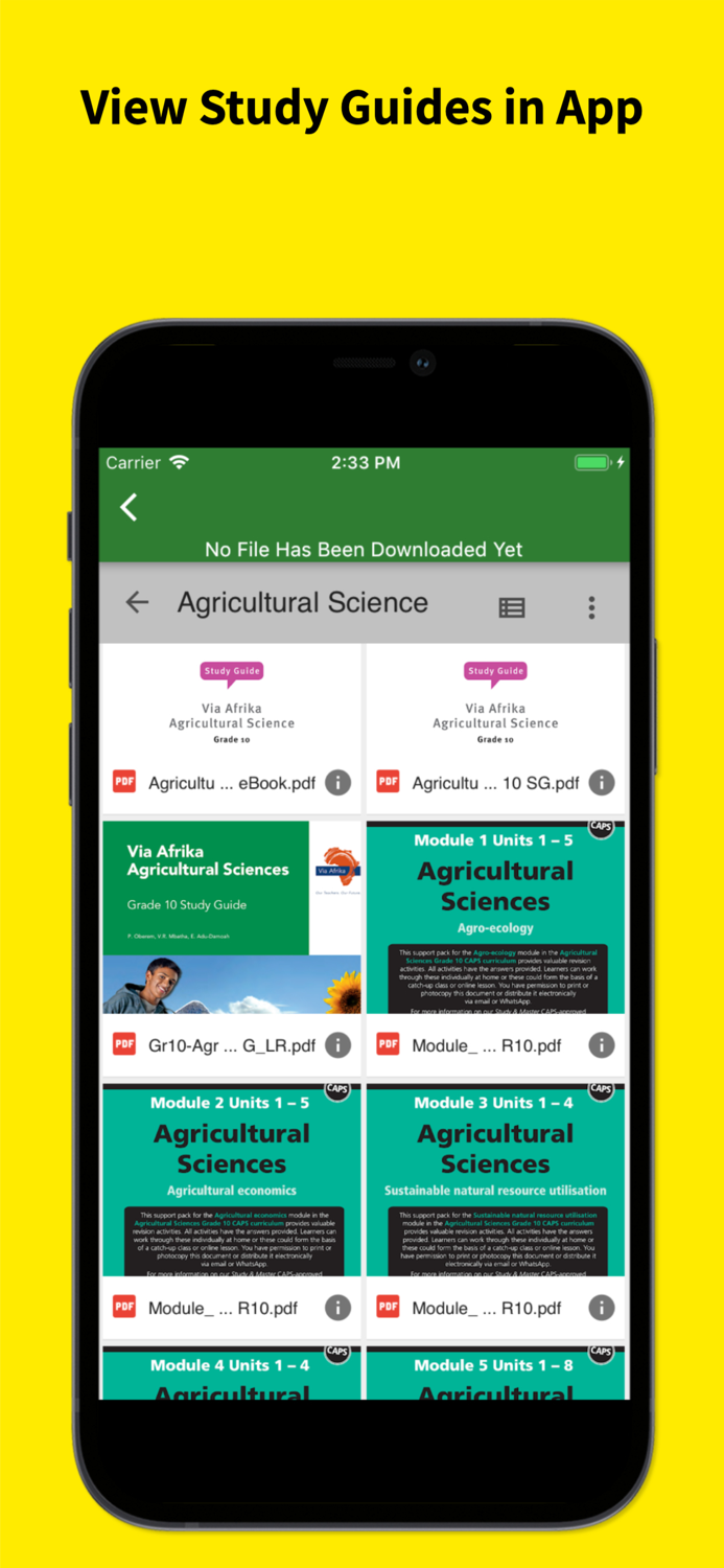 Grade 10 Exam Papers