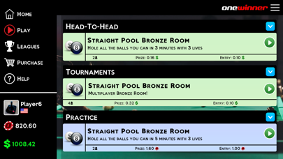 OneWinner's PoolStars Screenshot