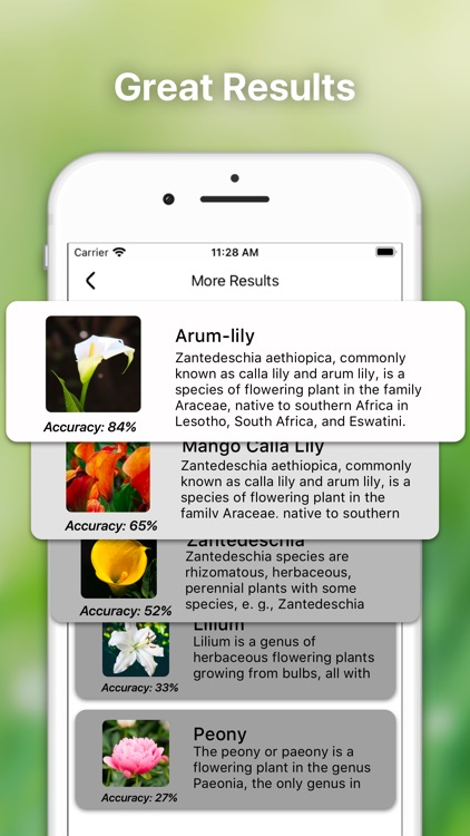 Bug Identifier Spider Insect screenshot-4