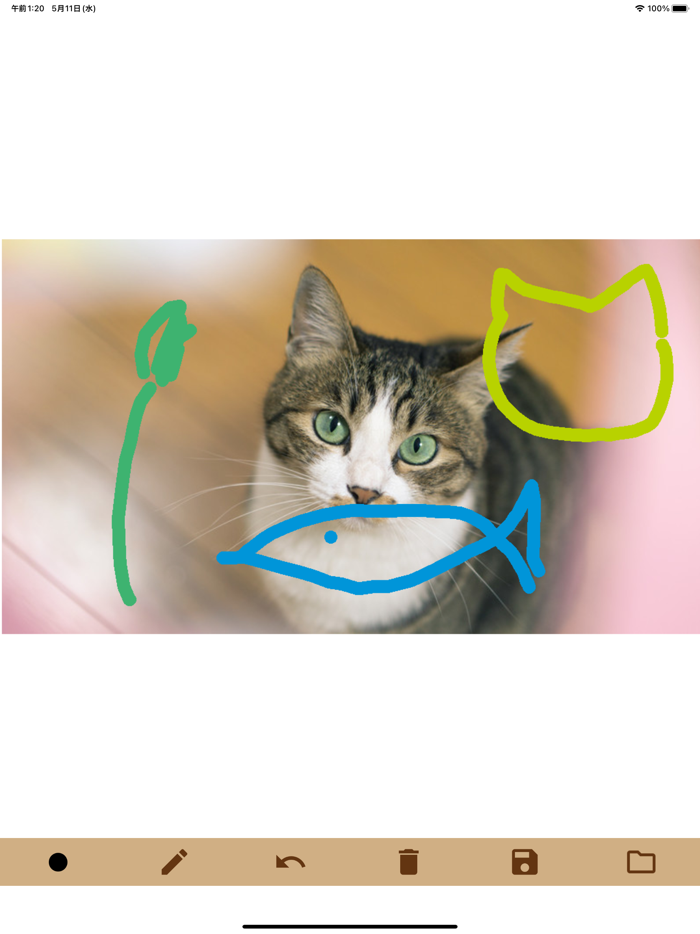 Draw on Pictures - Simple