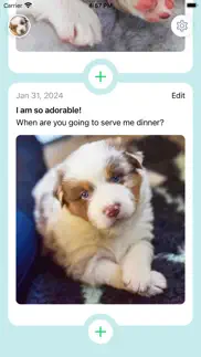 my dog diary - photos iphone resimleri 3