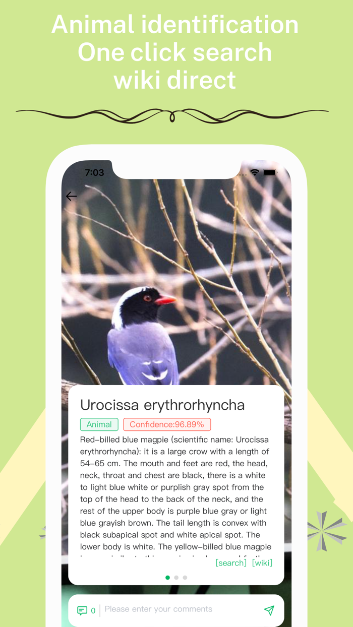 E-Identifier Identification