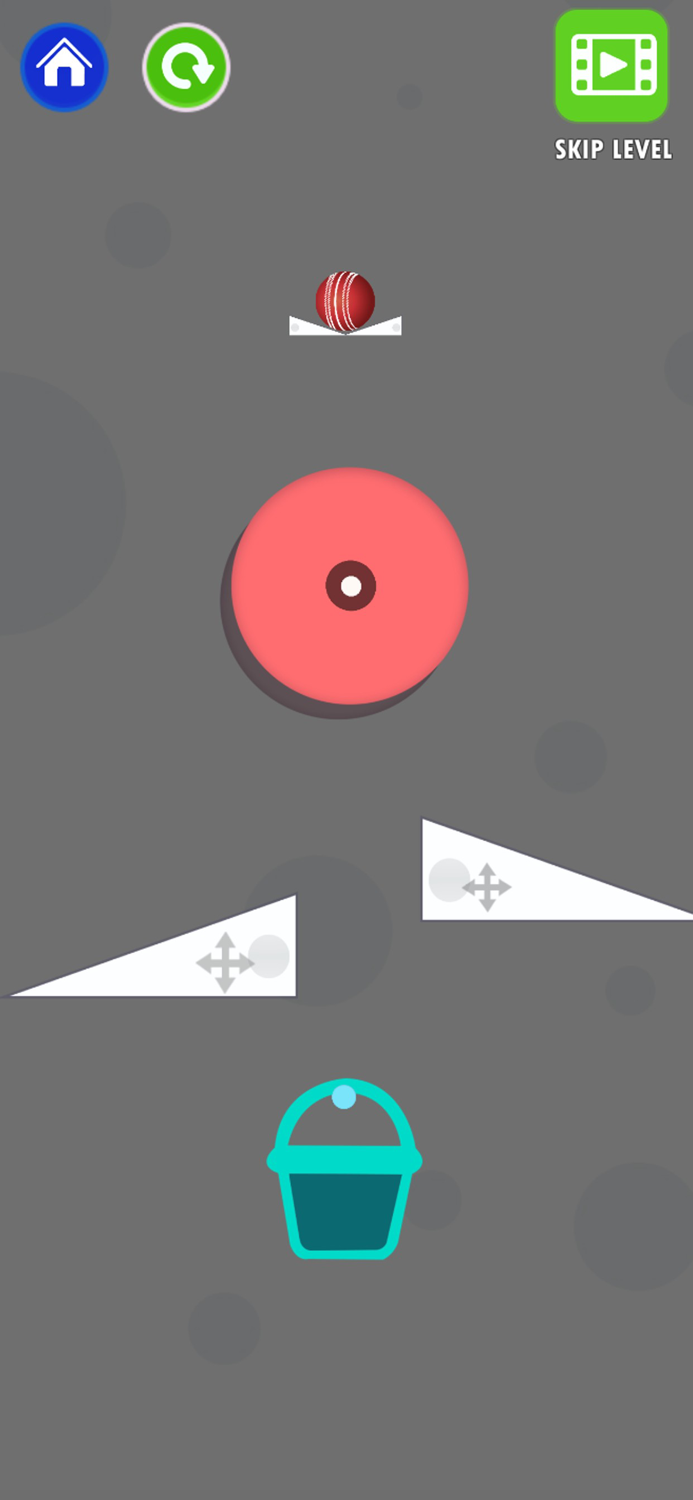 Bucket Ball Challenge-Dunk it