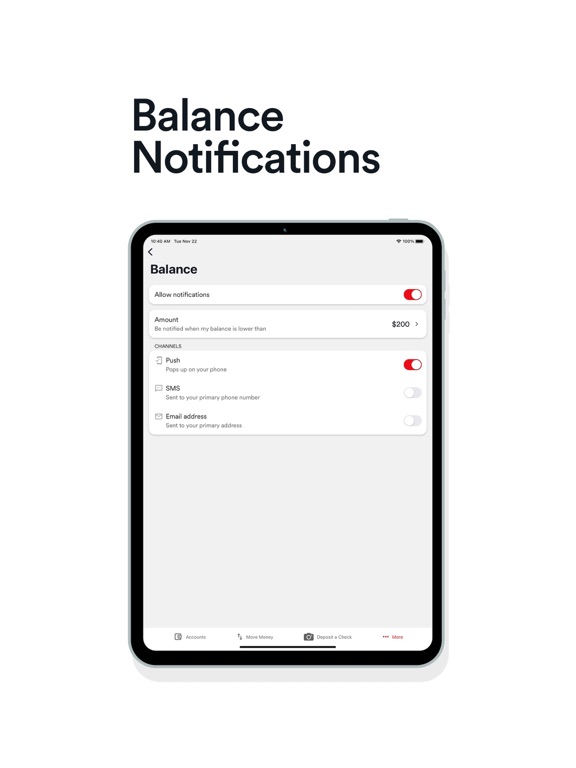 Westerra CU iPad screenshot 4 - Finance app