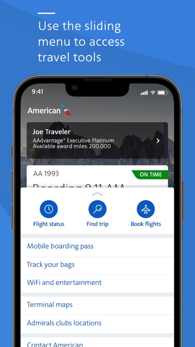 American Airlines Screenshot