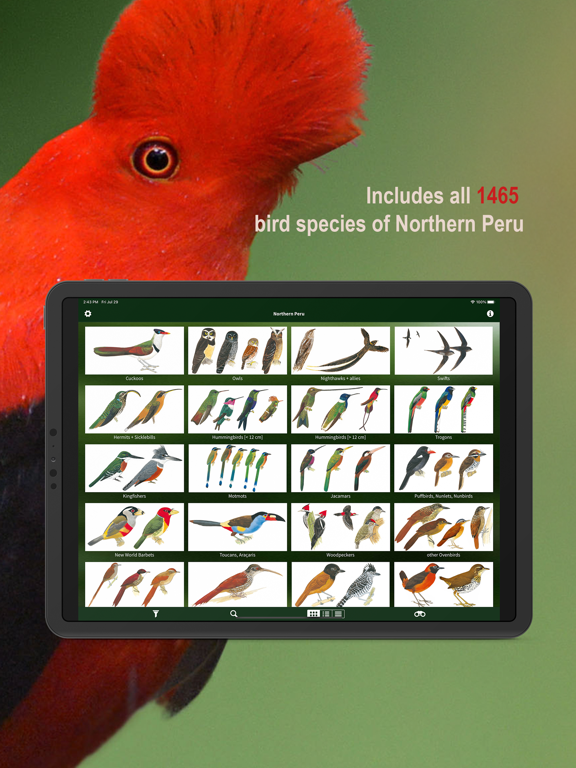 Screenshot #5 pour All Birds Northern Peru