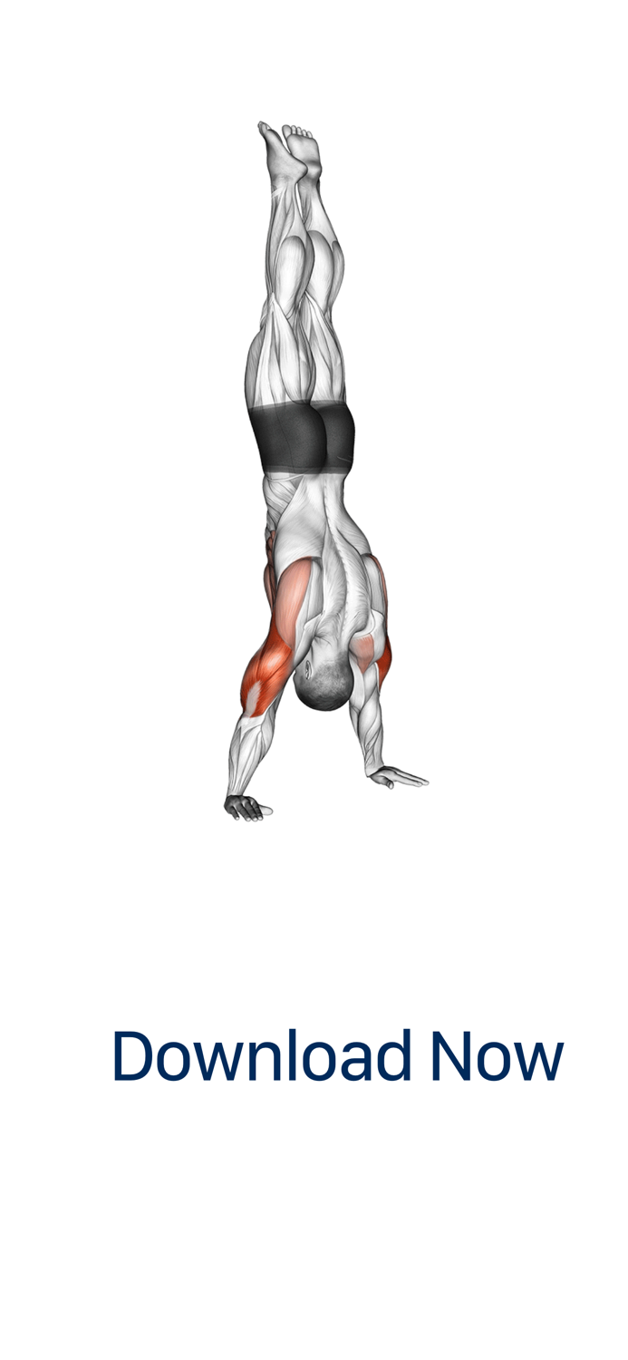 Optimal Calisthenics Workouts