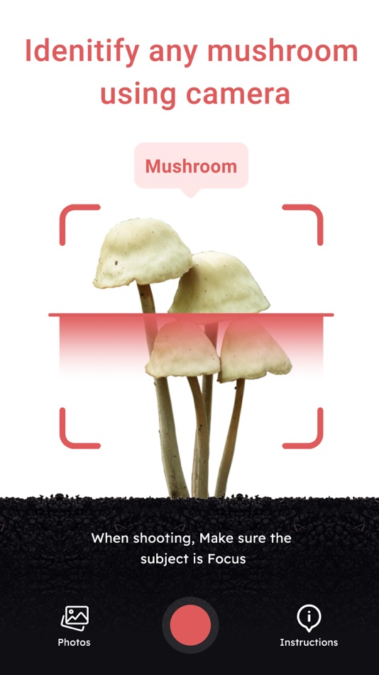 USA Mushroom Identification - 1.3 - (iOS)