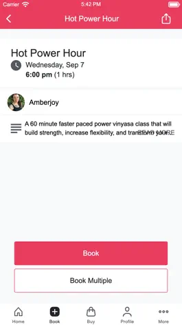 Game screenshot Soul Shine Fairhope hack