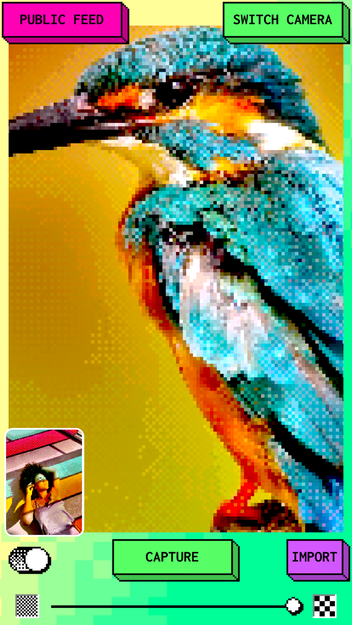 PHOTO.EXE Retro Photoshare