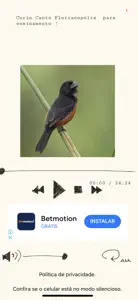 Cantos dos Pássaros Br screenshot #2 for iPhone