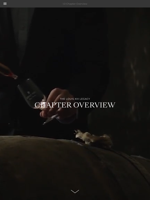 Screenshot #5 pour My e/LOUIS