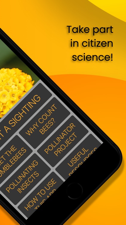 Bumblr - Guernsey Bumblebees