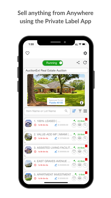 AuctionExt Screenshot