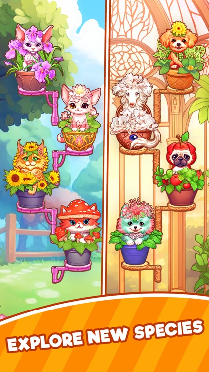 Grow Pets