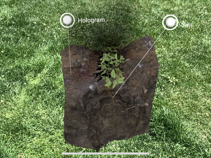 Cal State Parks Adventurer