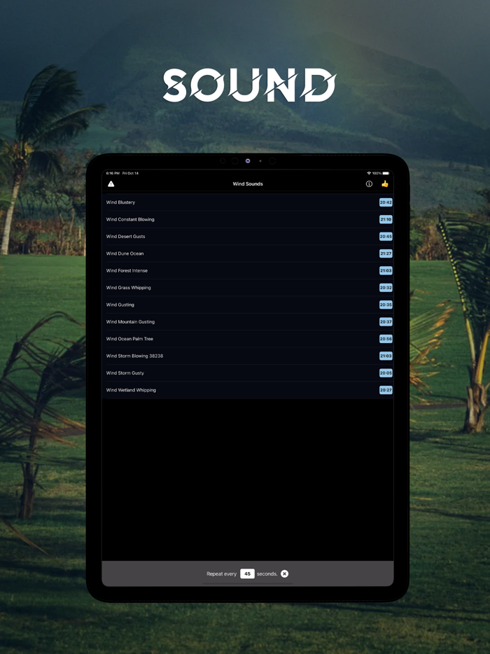 Wind Calming Night Sounds