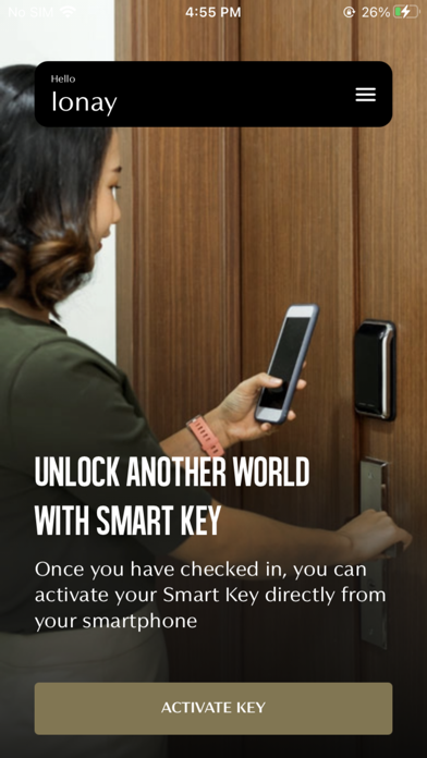 Viceroy Smart Key Screenshot