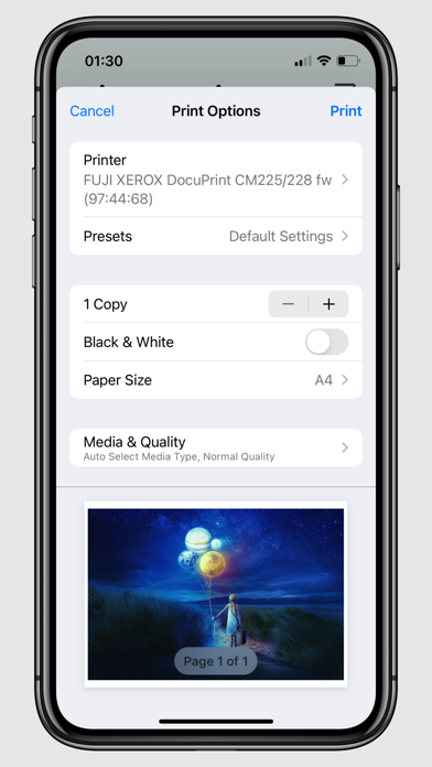 printer eprint Screenshot
