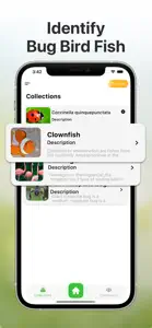 Bug Identifier Insect Finder screenshot #3 for iPhone